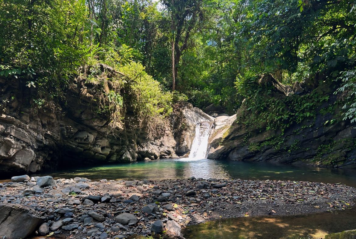 JUNGLE DREAMS FARM: WHERE NATURE MEETS SERENITY – 20 ACRES